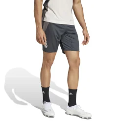 Herren Adidas España, S.A.U Hosen|Herren Pro CL Trainingsshorts 24/25 Dunkelgrau